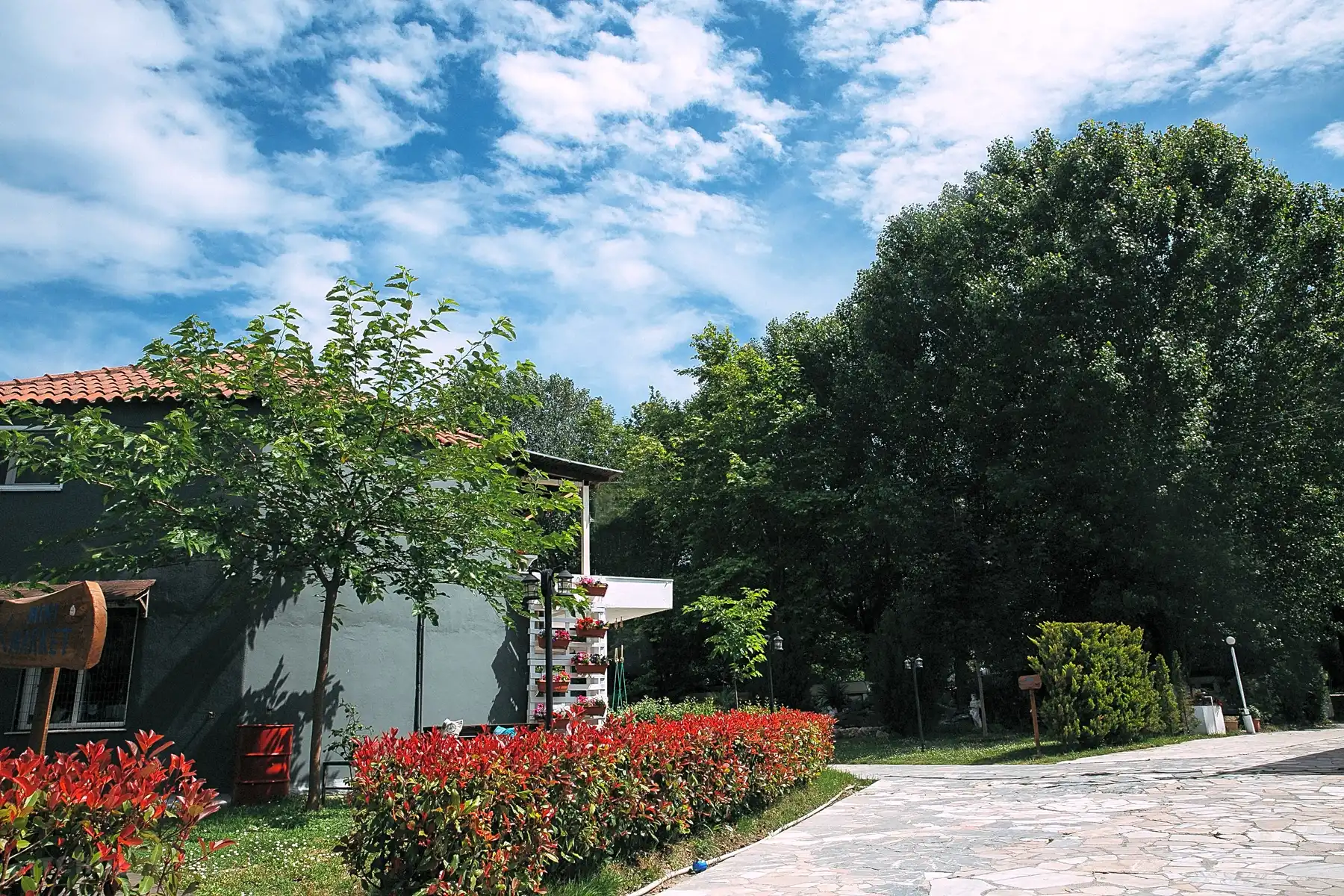 Camping Stolos. Stolos. Camping Stolos camping stolos bungalows. camping stolos bungalows. Camping Stolos. Camping in the green. Ideal to relax and enjoy nature. Camping Stolos overlooking Mount Olympus and the Aegean. Fully equipped campsite near Katerini with restaurant, cafe and shared barbecue. Camping with clean communal toilets such as toilets and showers Camping Stolos ideal for families with children, groups or couples. Places for tent, caravan or motorhome with natural shade from the trees. Camping near the big beach of Varikos