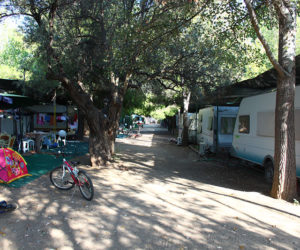 milos-camping-in-evia-xoros-8 milos camping, evia , glamping greece, calma bell tent , bell tent , island of evia. eretria. Glamping bell tents near Athens. Camping evia. milos