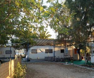 camping-ionion-2 καμπινγκ μυτικασ αιτωλοακαρνανιασ