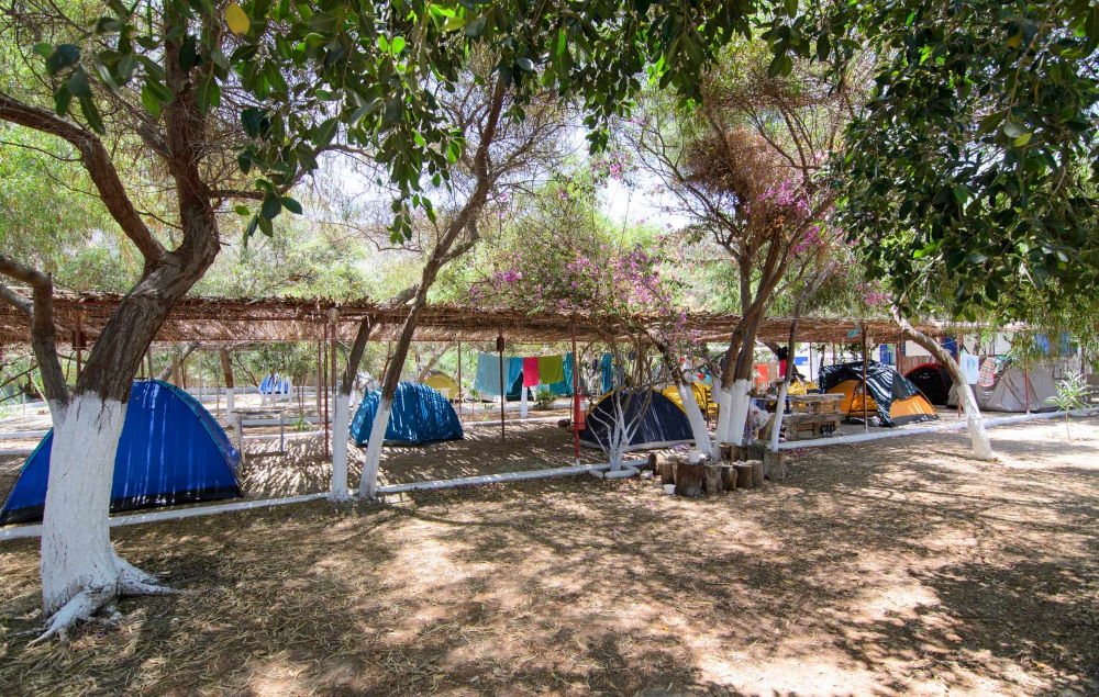 Κάμπινγκ Αιγιάλη κοντά στην Χώρα στην Αμοργό.