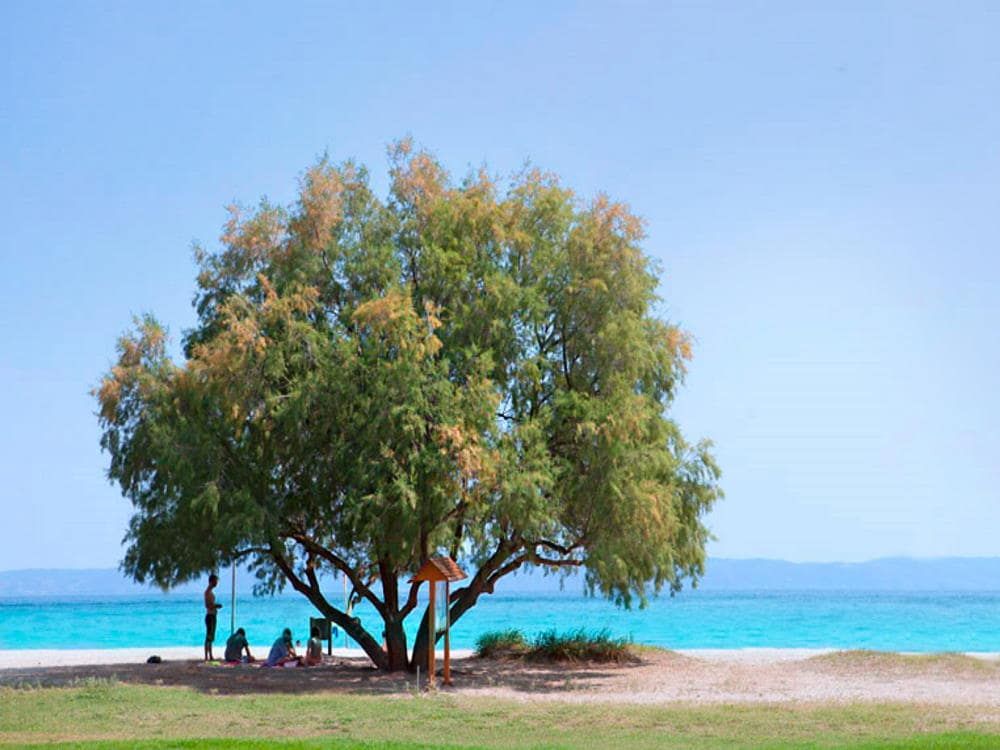 Luxury camping Ελλάδα, Χαλκιδική