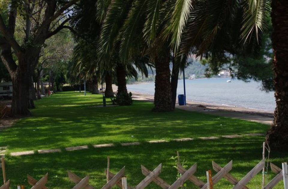 Καμένα βούρλα κάμπινγκ, στην Φθιώτιδα, απέναντι από την Εύβοια.