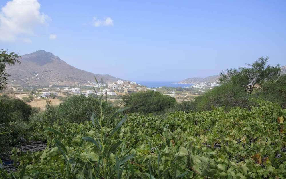 Κάμπινγκ Καστάνης στην Αμοργό. Οργανωμένο κάμπινγκ
