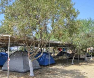 camping kastanis18 Ζεστό νερό 24 ώρες και όλες οι υπηρεσίες διαθέσιμες. Ιντερνετ, Κοινόχρηστη κουζίνα και ψυγείο