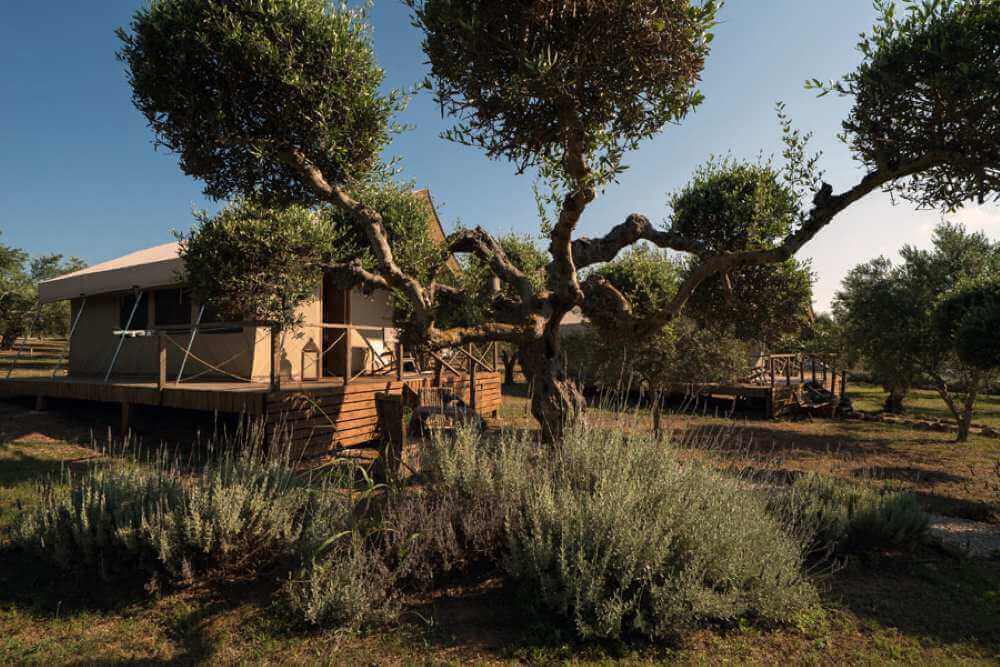 glamping wedding Αγροικίες πελοποννησος αγροκτημα και αγροτουρισμος
