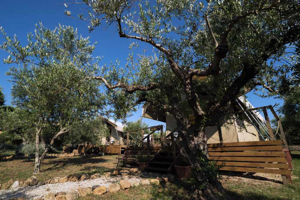 Camping glamping ελλαδα luxury σκηνές