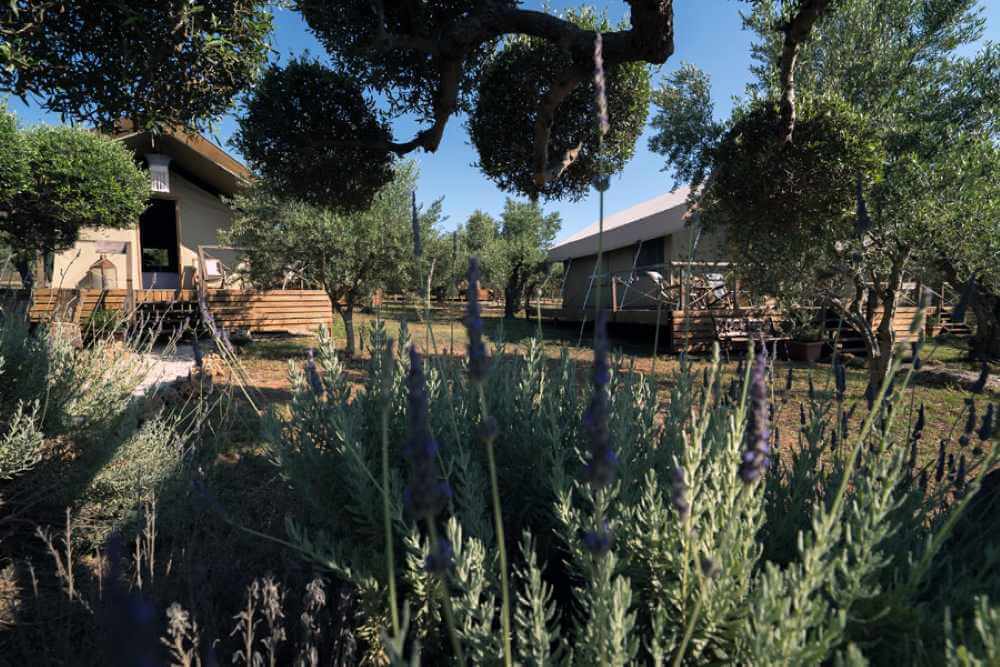 glamping wedding Αγροικίες πελοποννησος αγροκτημα και αγροτουρισμος