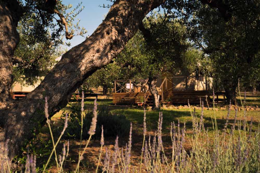 Camping glamping ελλαδα luxury σκηνές