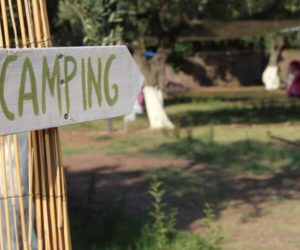 Camping 4 Με γυμναστήριο, γήπεδα για βόλευ και τέννις, yoga, pilates, αεροβική Εμπειρίες και θαλάσσια σπορ. Κανό, ποδηλασία, πεζοπορία, οινογευσία. Διαμονή κάμπινγκ στην Στερεά Ελλάδα στο πράσινο πάνω στη θάλασσα