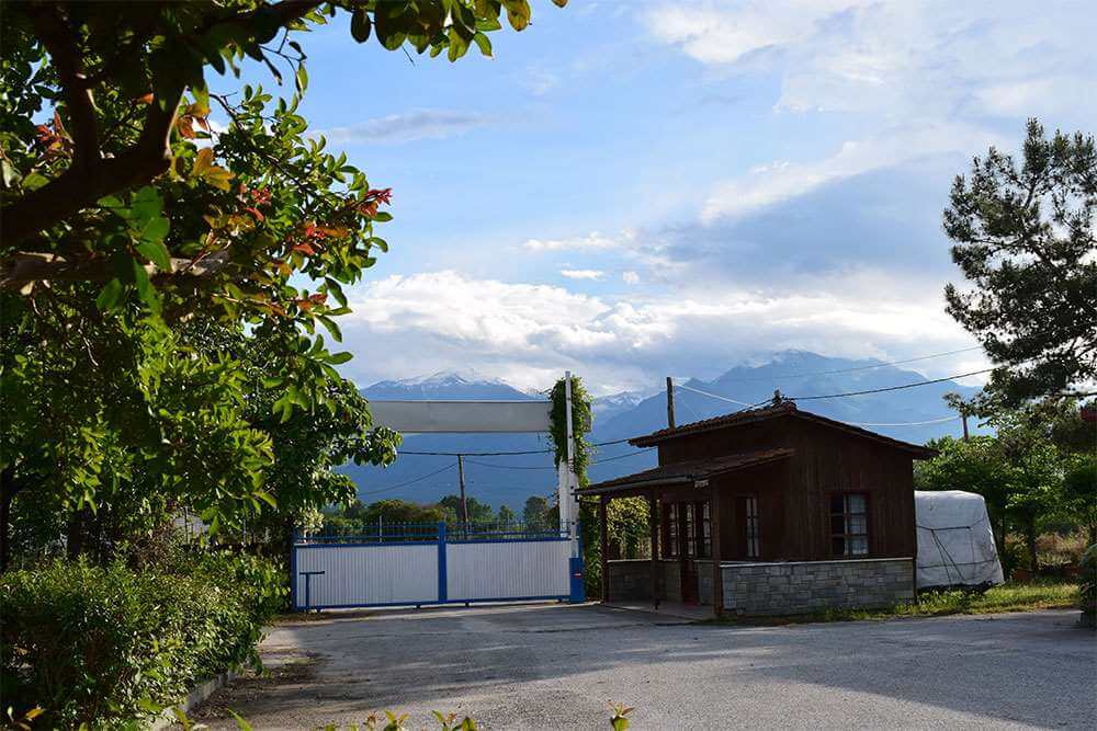 Στις δραστηριότητες κοντά στην περιοχή της Κατερίνης ανήκουν η ορειβασία ανάβαση του βουνού και περίπατος στους καταρράκτες Ορλιάς.