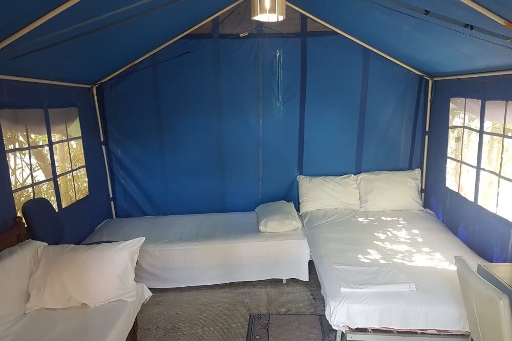 Set up tents in camping xeni greece. Best summer vacation in nature.