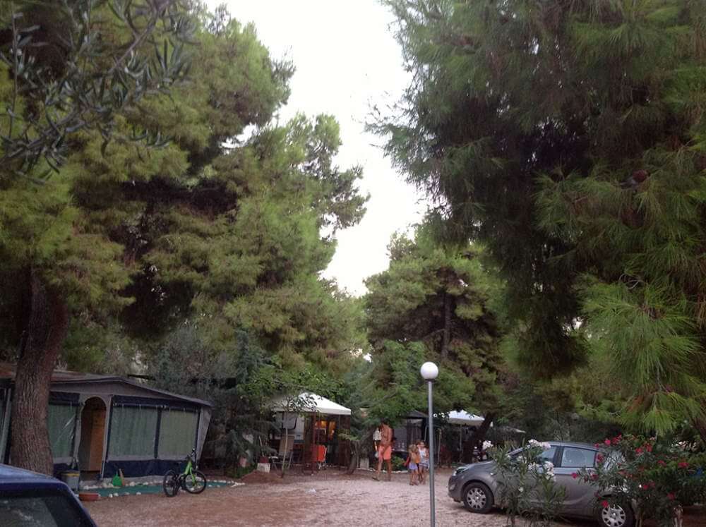 camping peloponnese greece.Camping scala. Organised campsites greece. camping nafplio