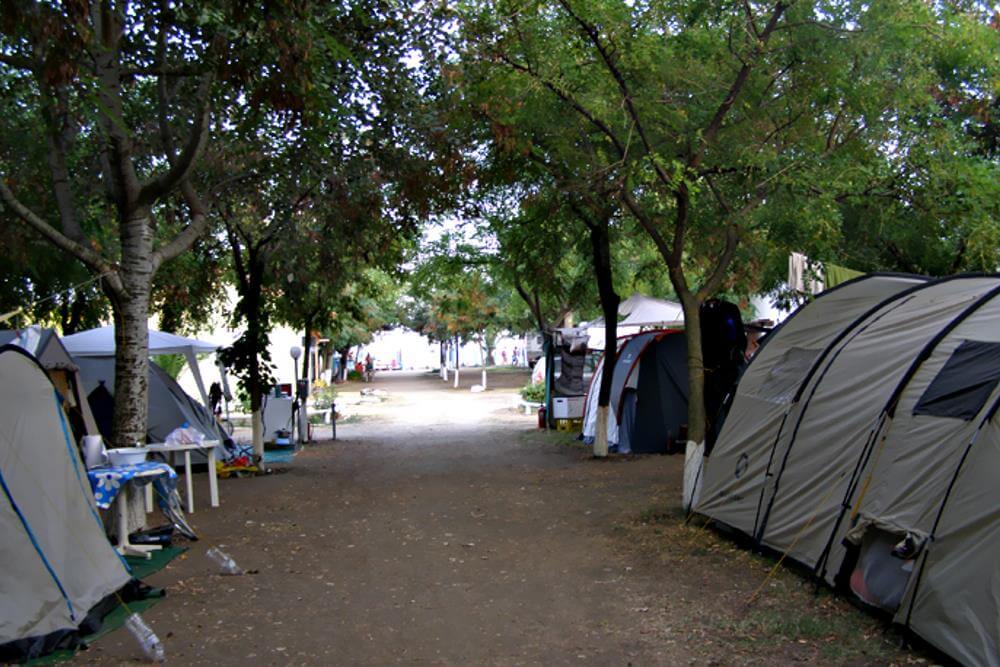 Οικογενειακά κάμπινγκ χαλκιδική Ελλάδα
