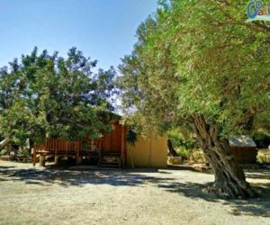 Camping Agia Galini.camp booking site