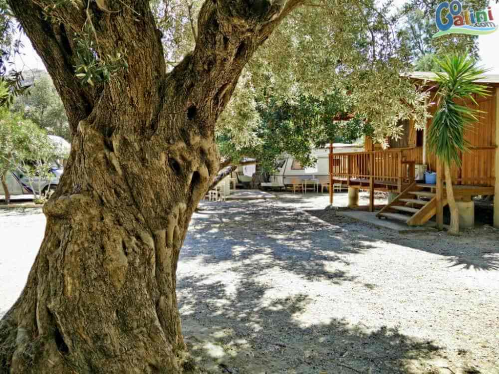 camper sites.Camping Agia Galini