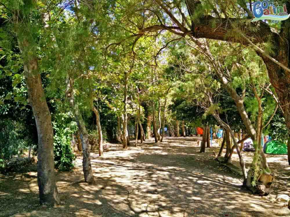 Camping Agia Galini.available camping sites crete