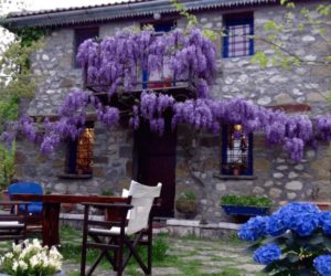 Marina's Stone Cottage 1 Marina’s stone cottage κτιστάδες τζουμέρκα