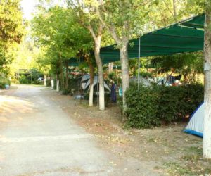 campsaroud-camping.pefki1 nature camping island evia evia in greece