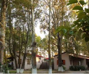 campsaroud-camping.pefki4 go camping evia island beaches near athens