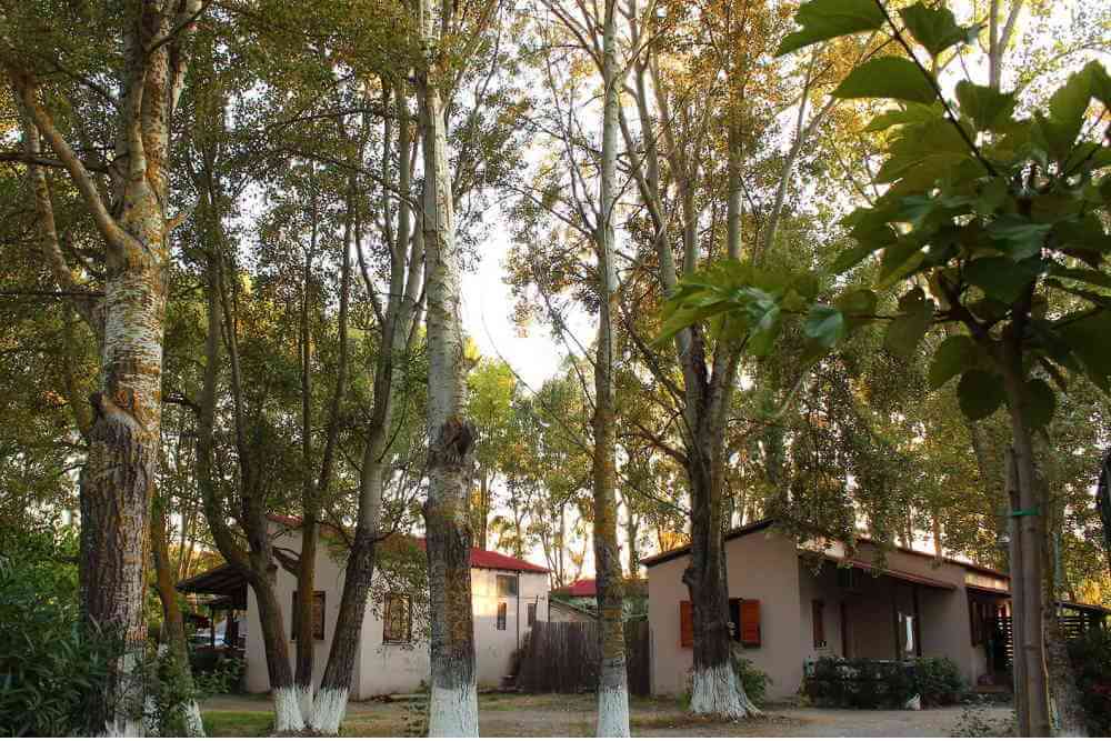 go camping evia island beaches near athens