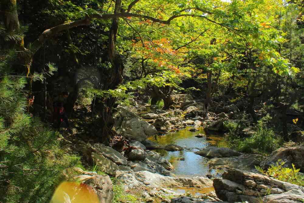 camp area, the campsite tourist to greece