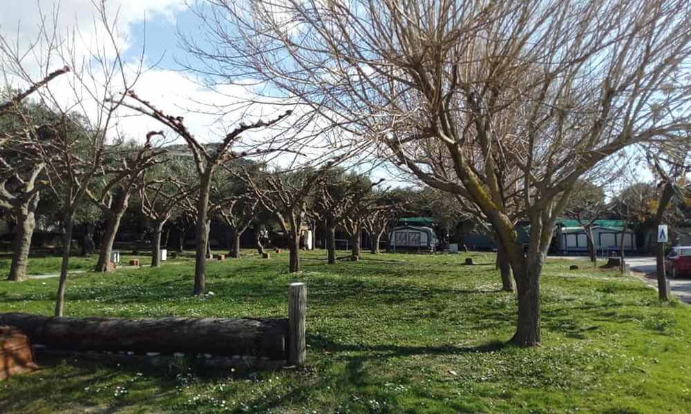 camping acrogiali.holidays with family.beach camping Camping with rooms by the beach