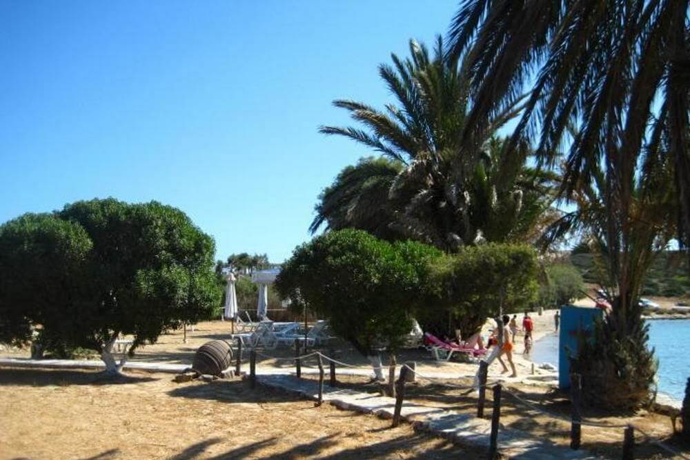 beach camping.camping cyclades.Agia irini paros