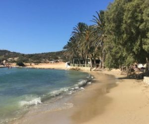 campsaround-campingAgiaIrini7 Camping paros .agia irini camping .camping cyclades.Agia irini paros