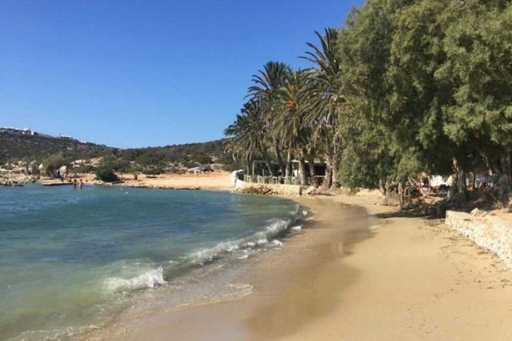 Camping paros .agia irini camping .camping cyclades.Agia irini paros