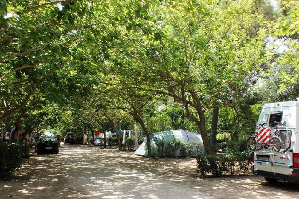 holiday destinations greece camping greece