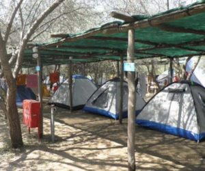 zakynthos greece.alykes.alykes zakynthos.alykes camping.camping alykes.alykes beach.zakynthos camping.camping with pool .camping with kids