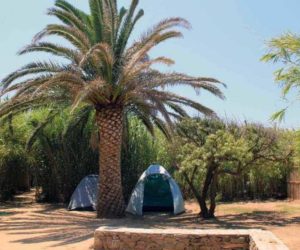 campsaround-campingAntiparos1 antiparos.antiparos beaches.antiparos camping.camping antiparos.antiparos cyclades.camping holidays.camping cyclades.camping with kids.camping greece.Organised campsites greece. Camping with rooms by the beach.