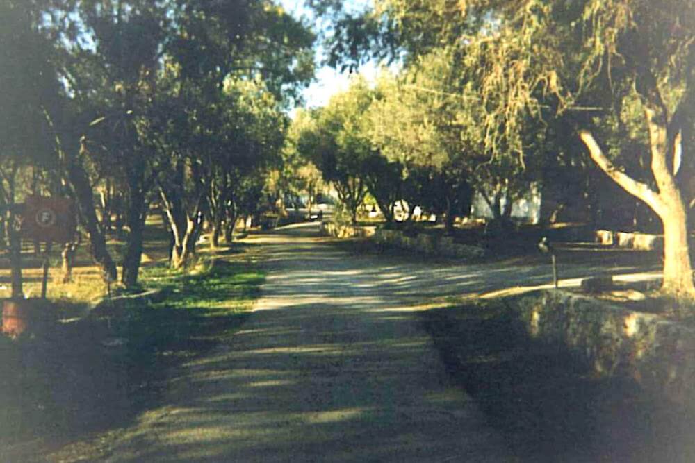 Camping Ayannis.itea camping.Organised campsites greece.