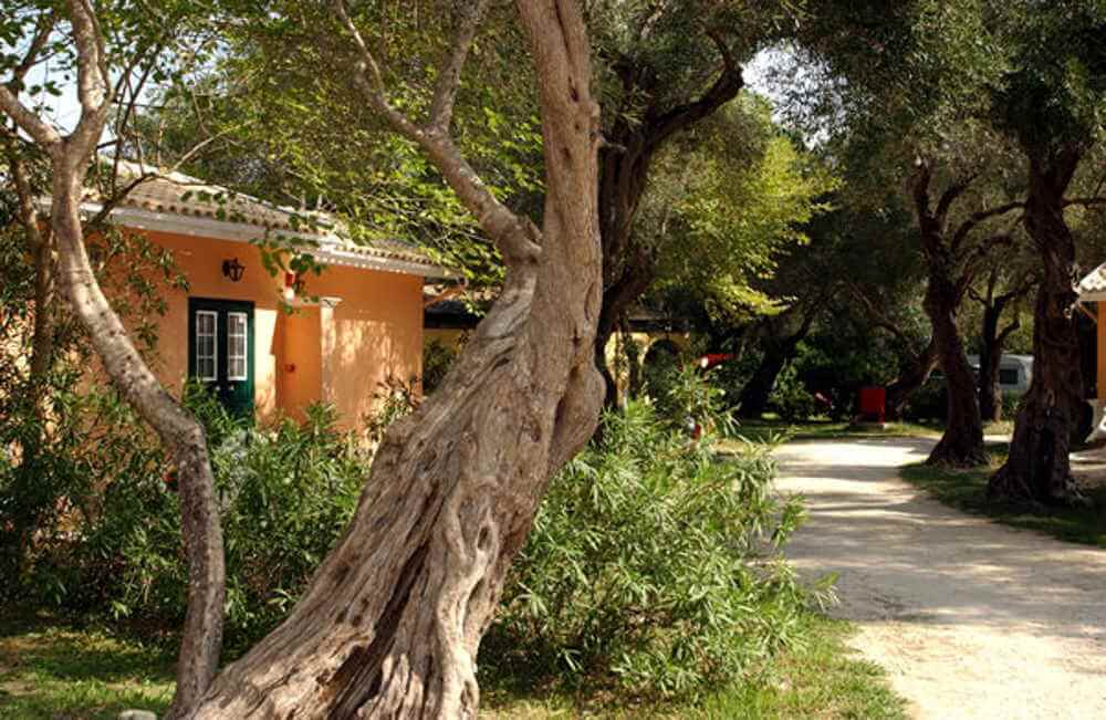 corfu camping.kerkyra.corfu 2021.corfu holidays.Karda beach camping.camping karda beach .camping greece.camping with kids