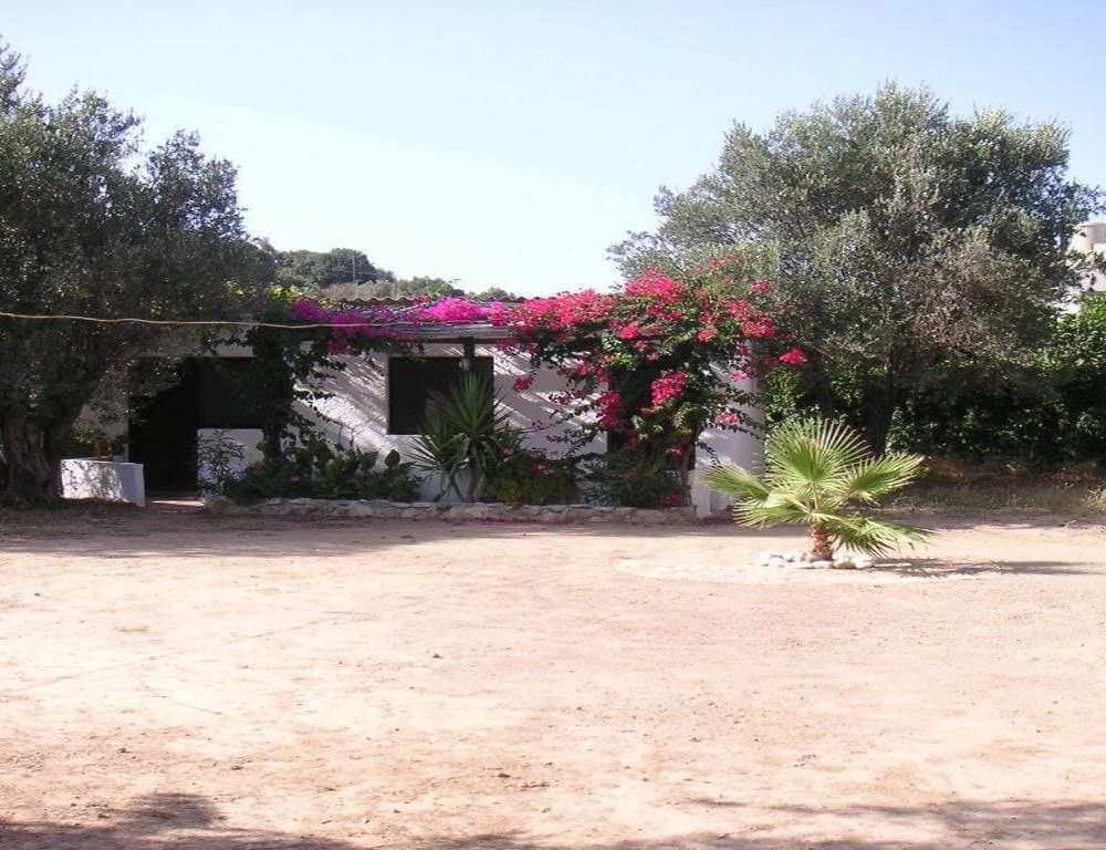 Camping name. Organised campsites greece.