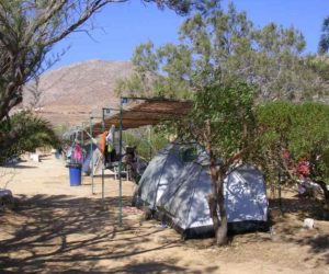 campsaround-campingLivadi6 camping livadi.livadi camping.camping livadi folegandros.folegandros camping.livadi folegandros.camping holidays.camping greece.camping cyclades