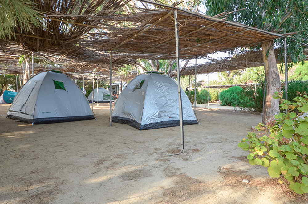 naxos camping.naxos holidays.naxos holidays 2021.camping greece.camping cyclades.camping with kids naxos camping.naxos holidays.holidays in naxos.holidays with family.camping with kids