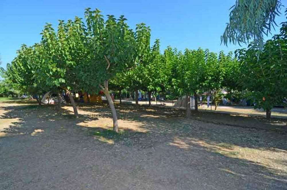 paradise zakynthos.paradise zakynthos.zakynthos camping paradise.camping paradise.tent accommodation.holidays with family