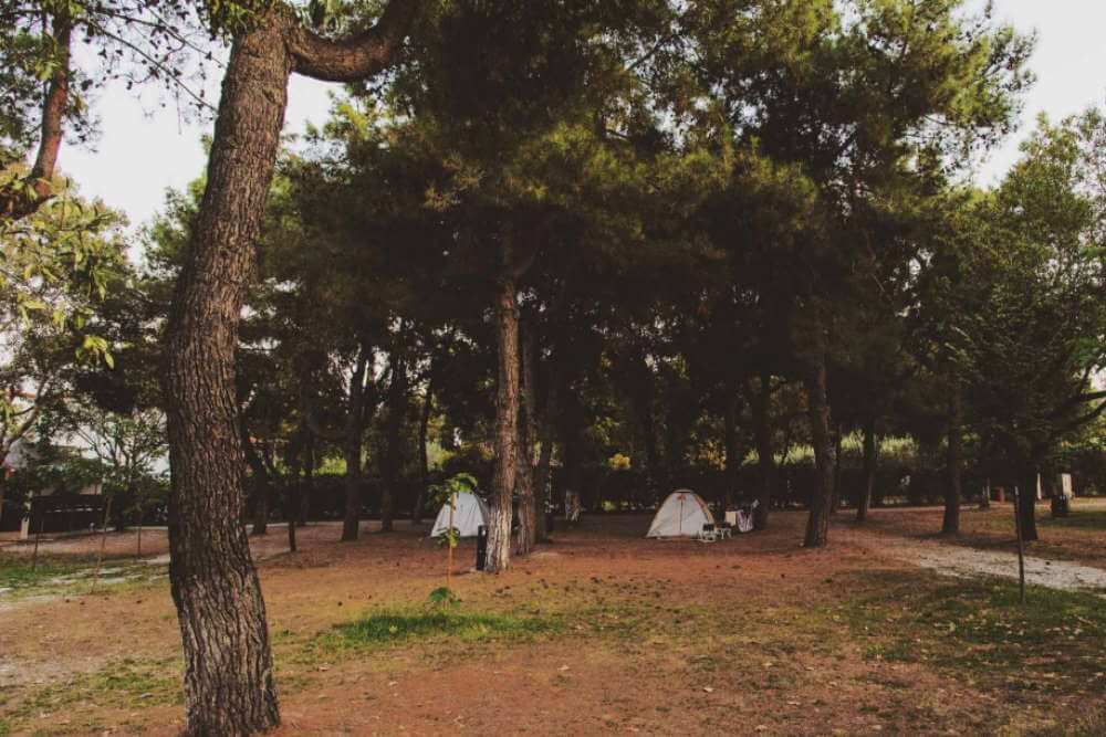 camping sylvia litochoro.Camping Sylvia.paralia pieria greece.camping litochoro