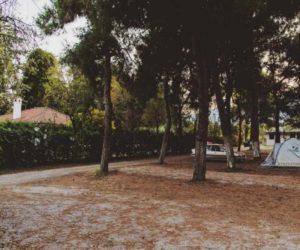 camping sylvia.camping pieria.camping pieria.Organisiertes Camping in Griechenland plaka litochoro strände