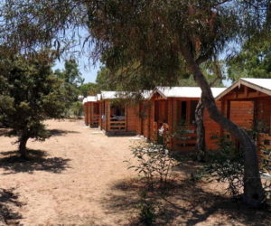 campsaround-woodhutsSurfingBeachParos5 camping surfing beach paros.paros camping.santa maria surfing beach.best beaches in paros.santa maria camping paros.beach paros.paros santa maria.paros santa maria beach.wood huts